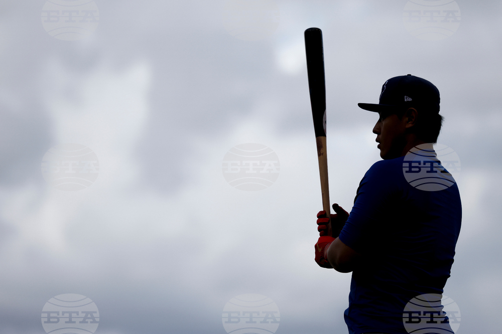 Blue Jays Angels Baseball