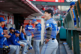 Blue Jays Angels Baseball