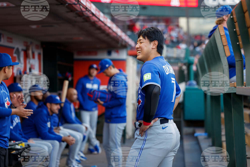 Blue Jays Angels Baseball
