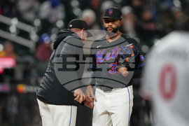 Twins Mets Baseball