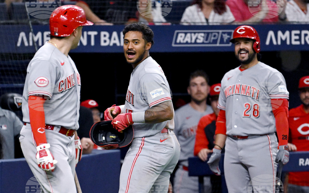 Reds Rays Baseball