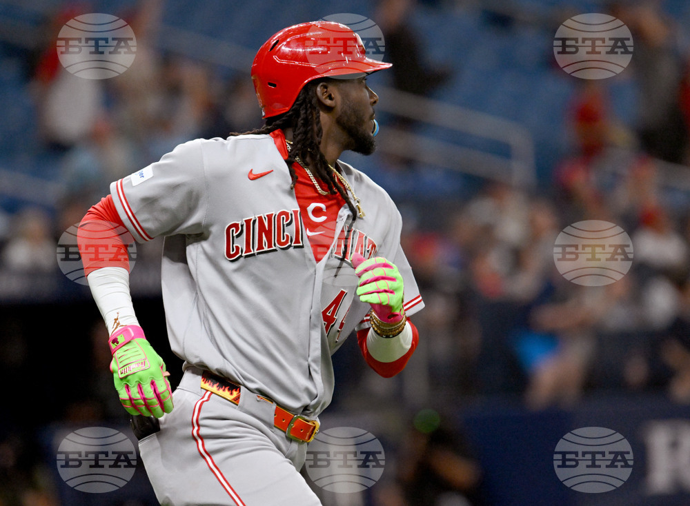 Reds Rays Baseball