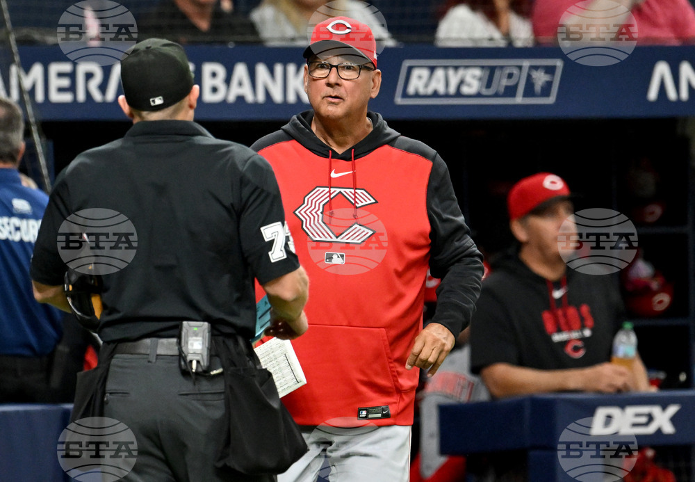 Reds Rays Baseball