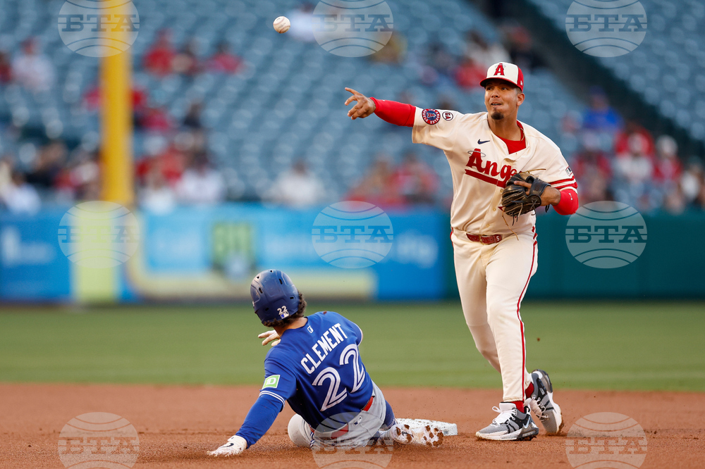 Blue Jays Angels Baseball