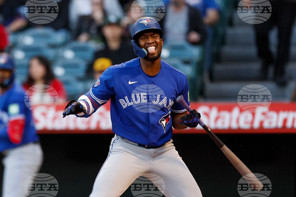 Blue Jays Angels Baseball