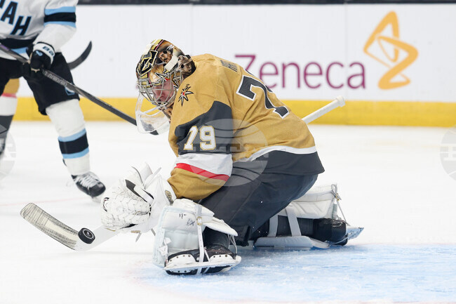 Mammoth Golden Knights Hockey