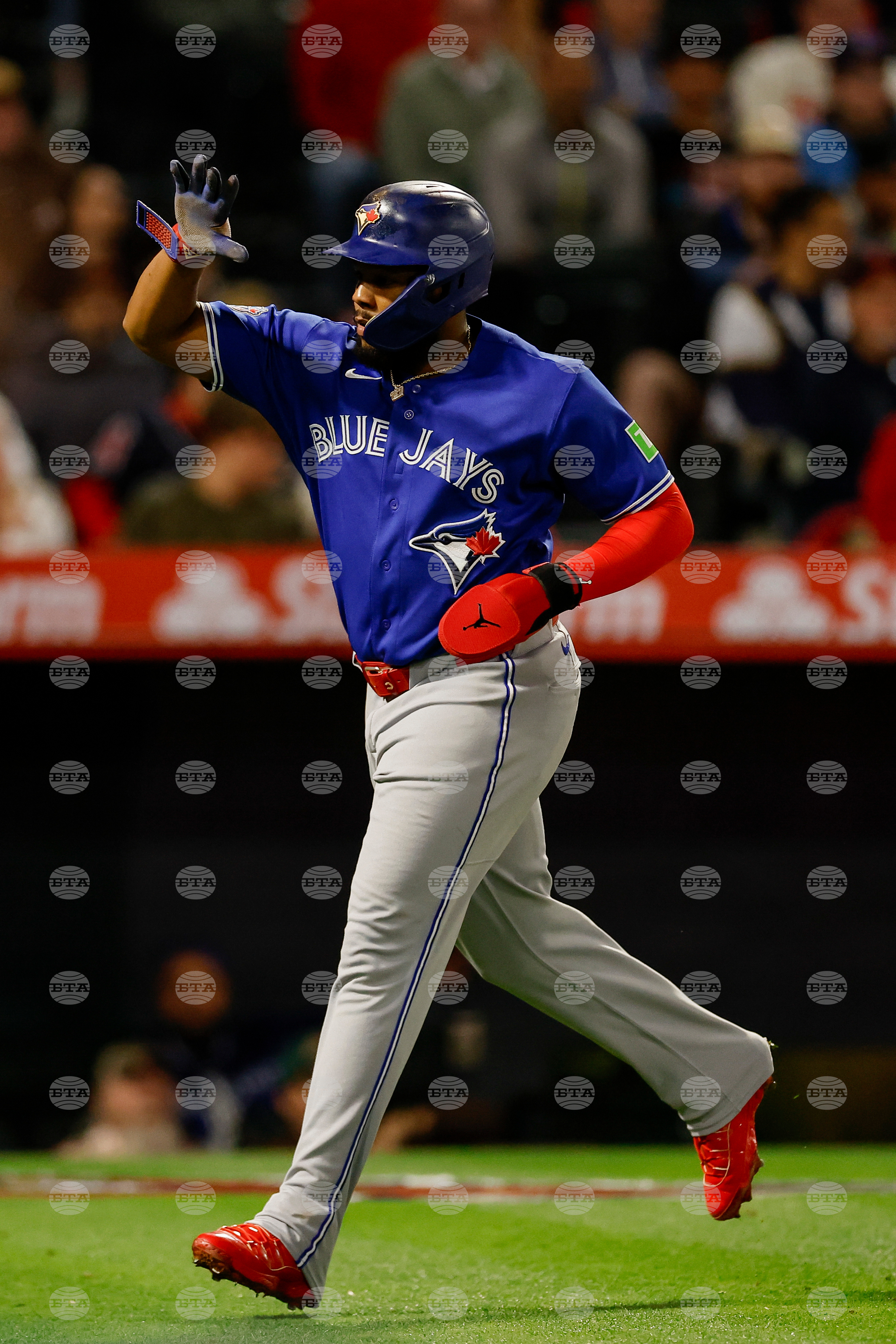 Blue Jays Angels Baseball