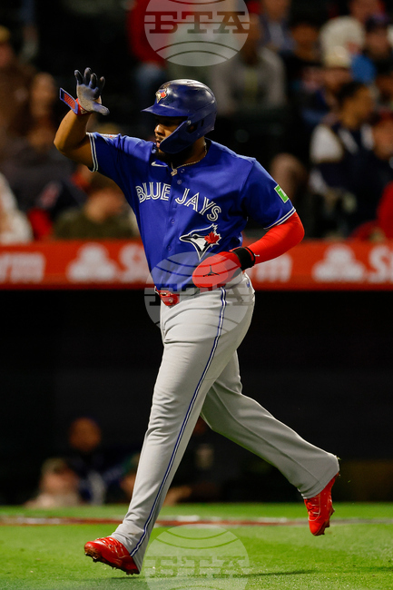 Blue Jays Angels Baseball