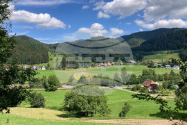 Be Well Barefoot Trails