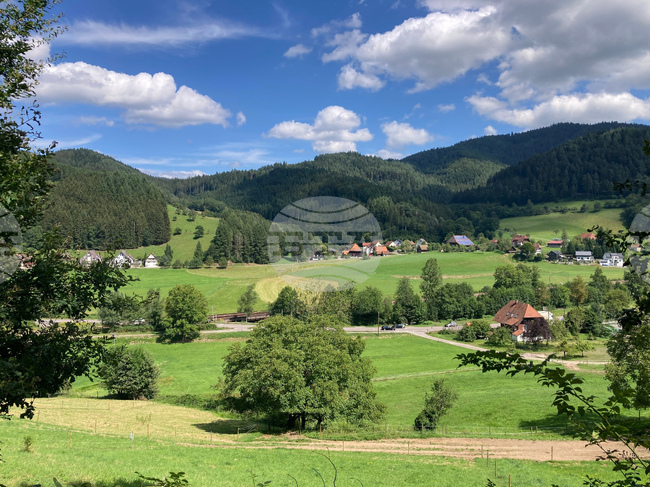 Be Well Barefoot Trails