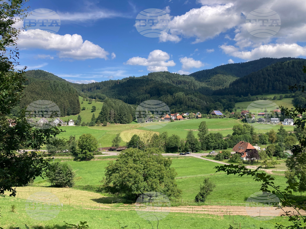 Be Well Barefoot Trails