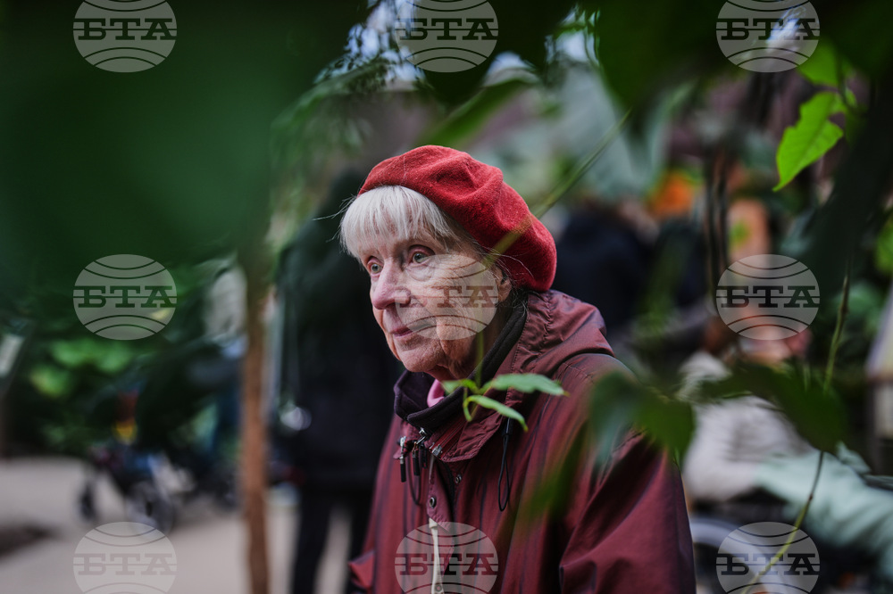 Germany Dementia Tours