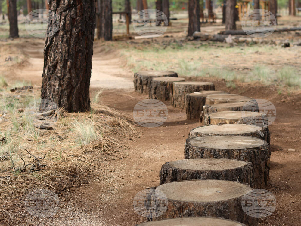 Be Well-Barefoot Trails
