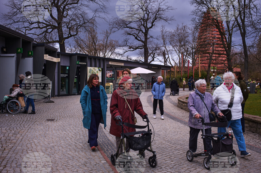 Germany Dementia Tours