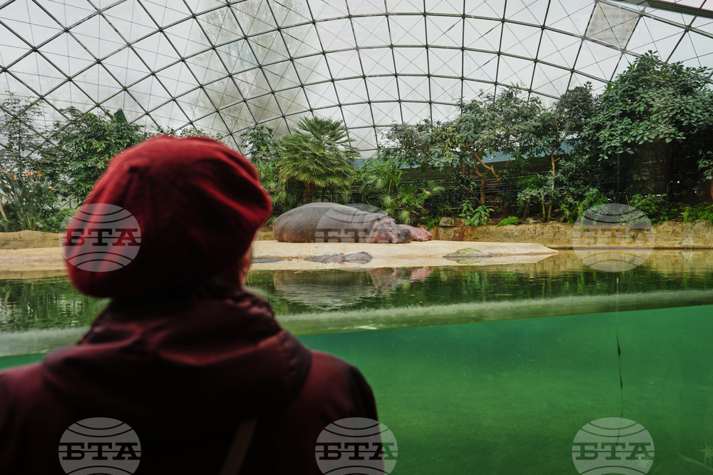 Germany Dementia Tours