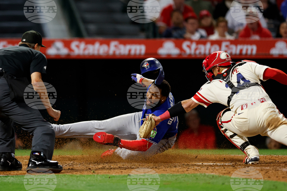 Blue Jays Angels Baseball