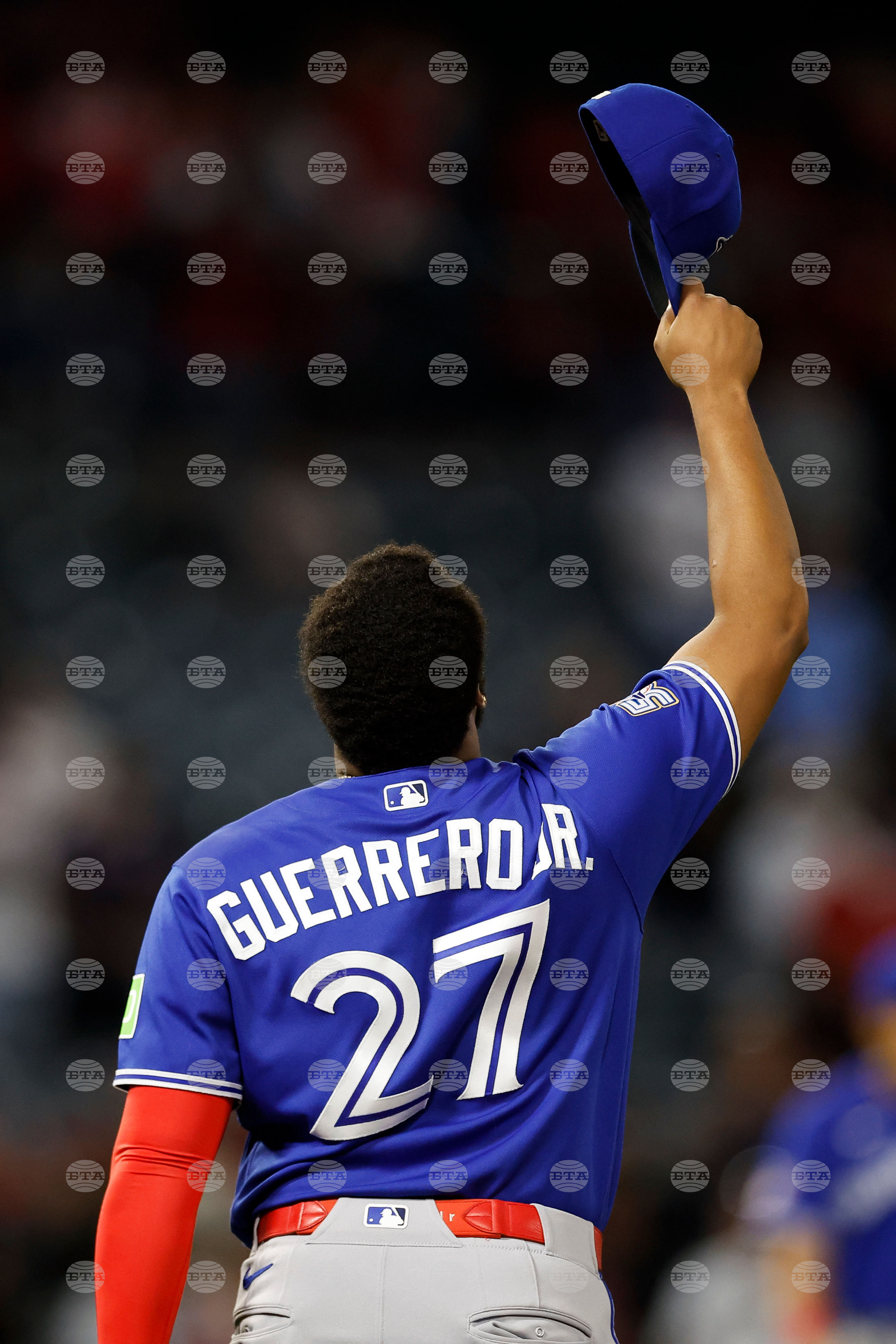 Blue Jays Angels Baseball