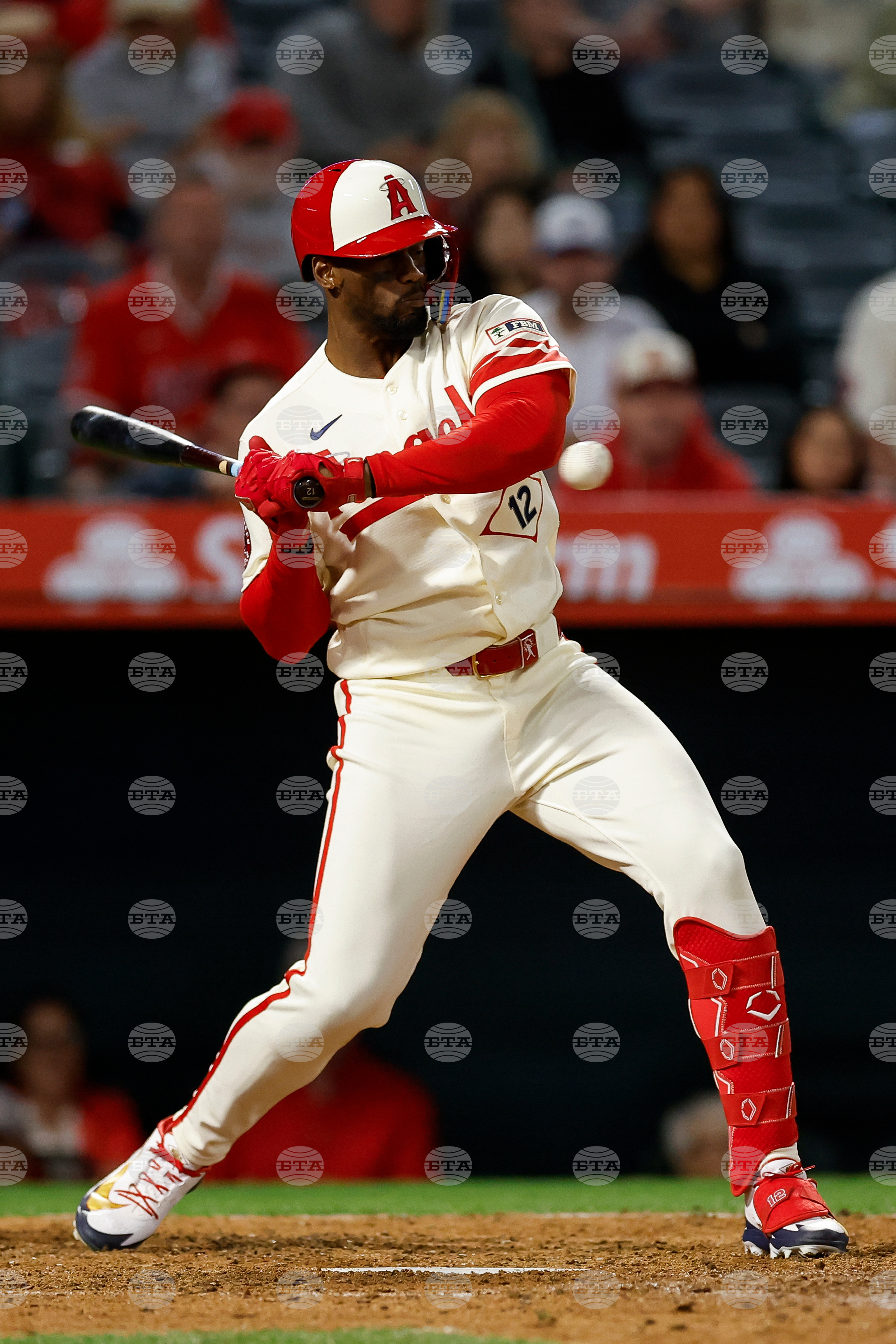 Blue Jays Angels Baseball