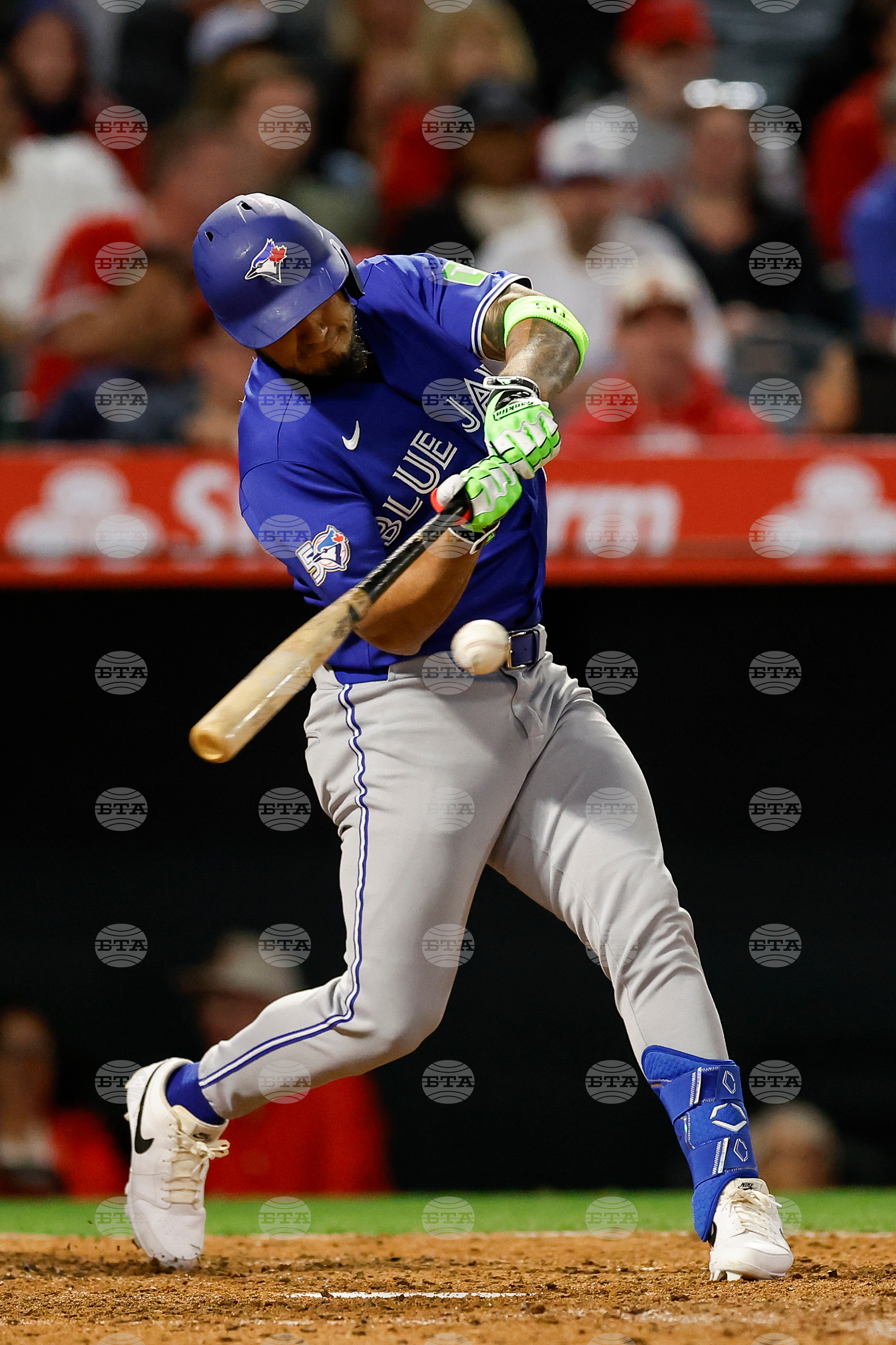 Blue Jays Angels Baseball