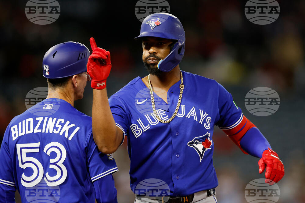 Blue Jays Angels Baseball