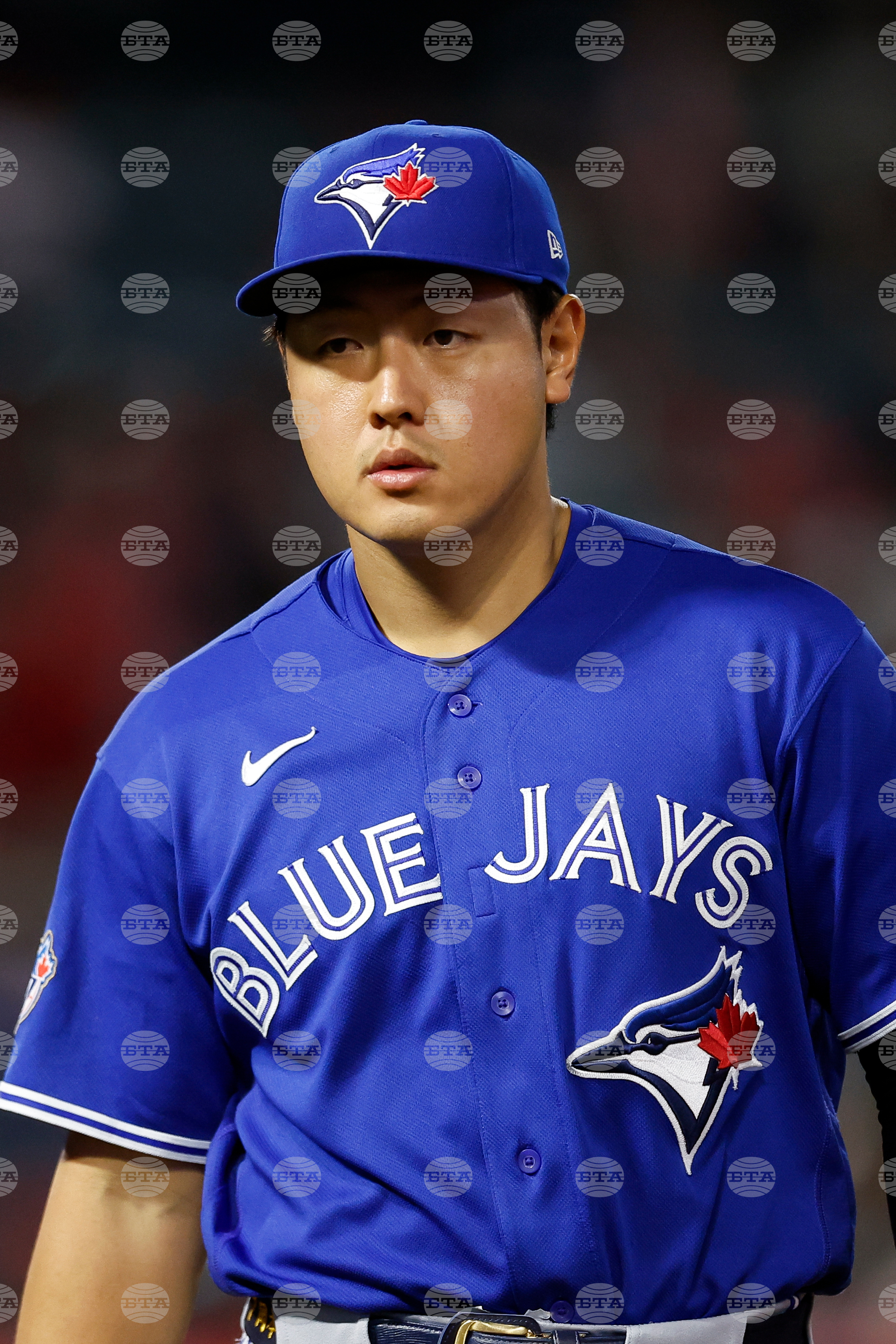 Blue Jays Angels Baseball