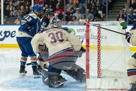 PWHL Victoire Goldeneyes Hockey