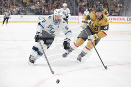 Mammoth Golden Knights Hockey
