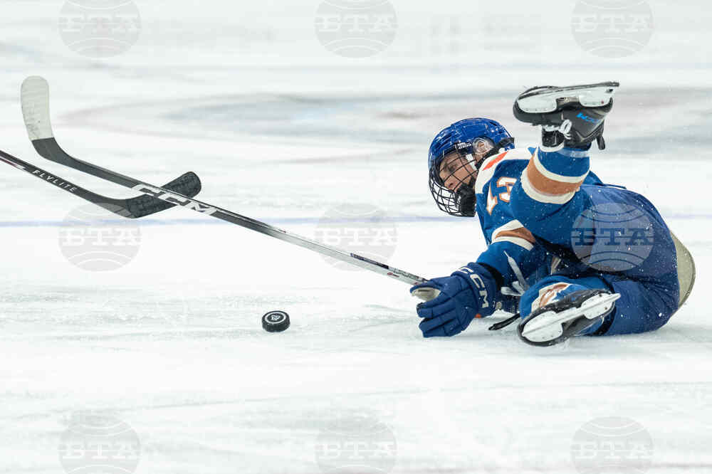 PWHL Victoire Goldeneyes Hockey