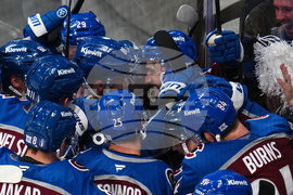 Kings Avalanche Hockey