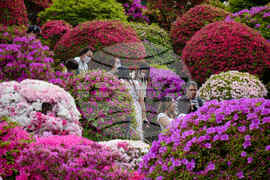Japan Daily Life