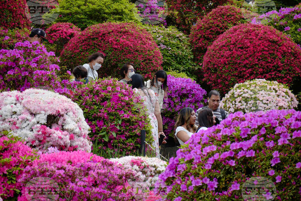 Japan Daily Life