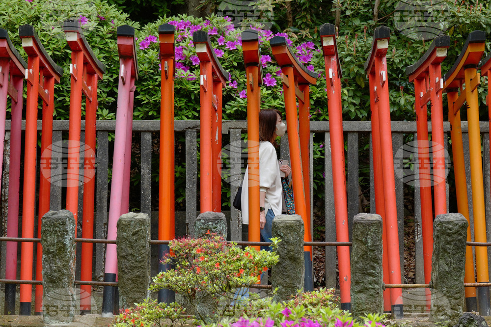 Japan Daily Life