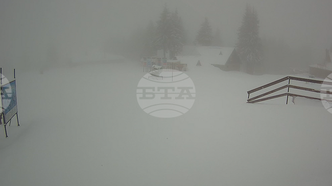 Около 10 см нов сняг наваля в Пампорово