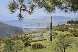 Гърция - Делфи - икономически форум