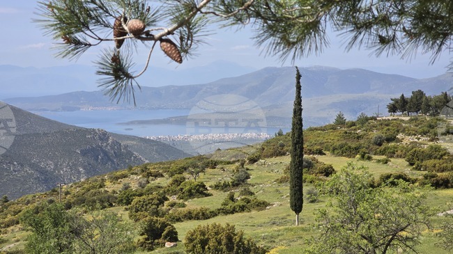 Greek Government, Retail Chains Agree to Keep Prices of Essential Consumer Products Unchanged during Summer