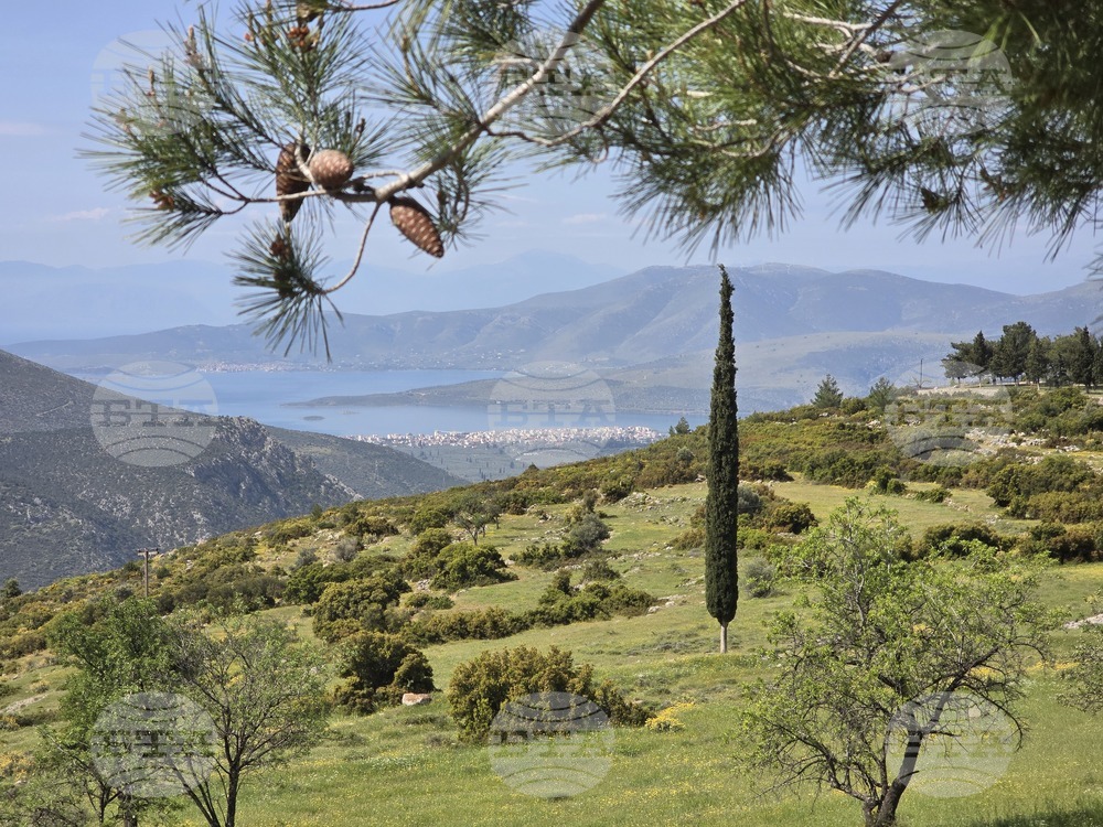 Гърция - Делфи - икономически форум