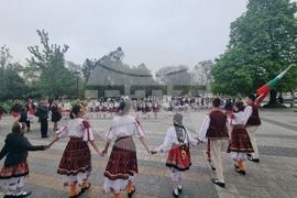 Плевен - танцов фестивал - ученици