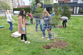 Монтана - залесяване