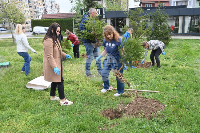 Монтана - залесяване