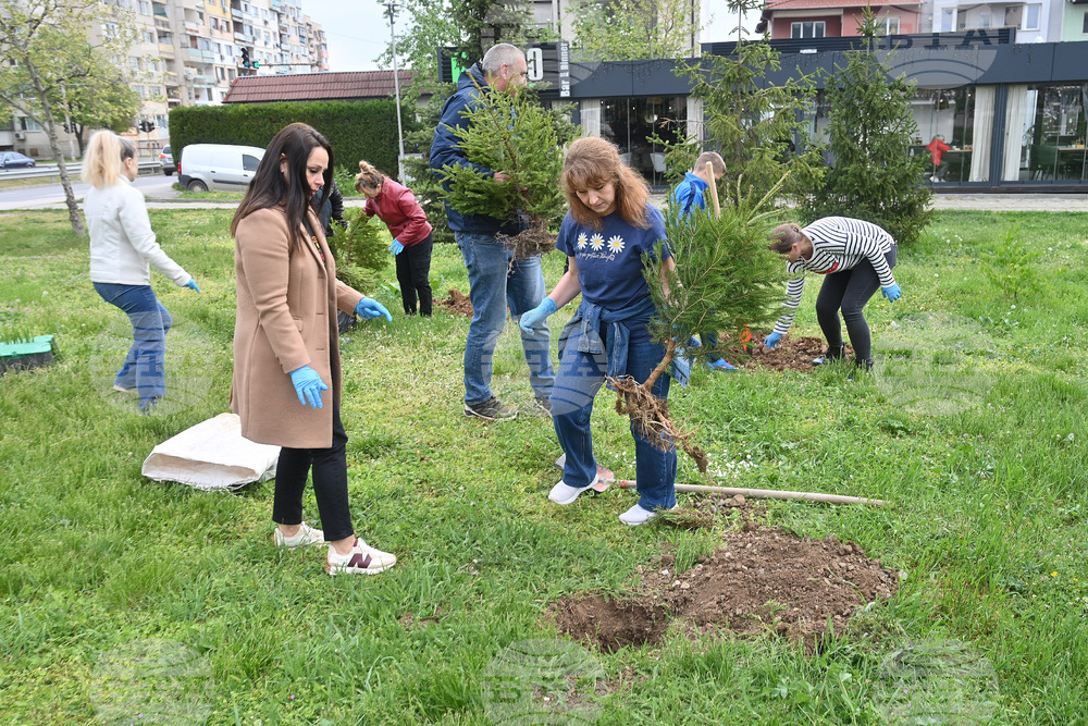 Монтана - залесяване