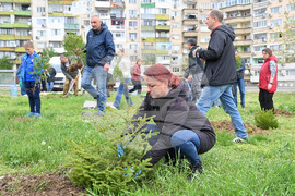 Монтана - залесяване