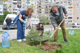 Монтана - залесяване