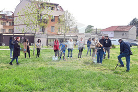 Монтана - залесяване