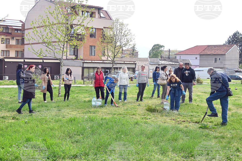 Монтана - залесяване