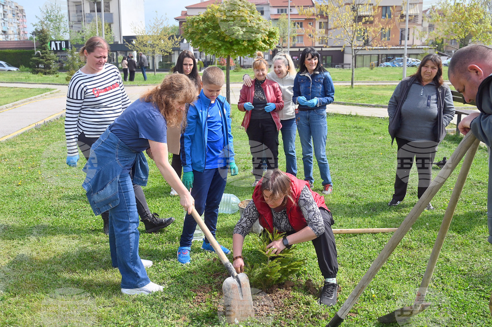 Монтана - залесяване