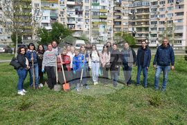 Монтана - залесяване