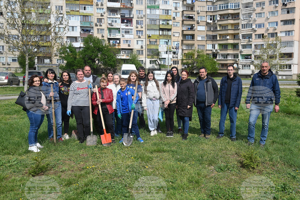 Монтана - залесяване