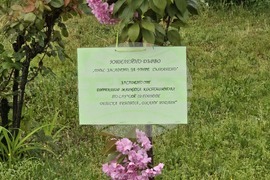 Гоце Делчев - Детска градина „Джани Родари“ - засаждане на юбилейно дърво