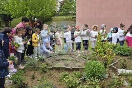 Гоце Делчев - Детска градина „Джани Родари“ - засаждане на юбилейно дърво