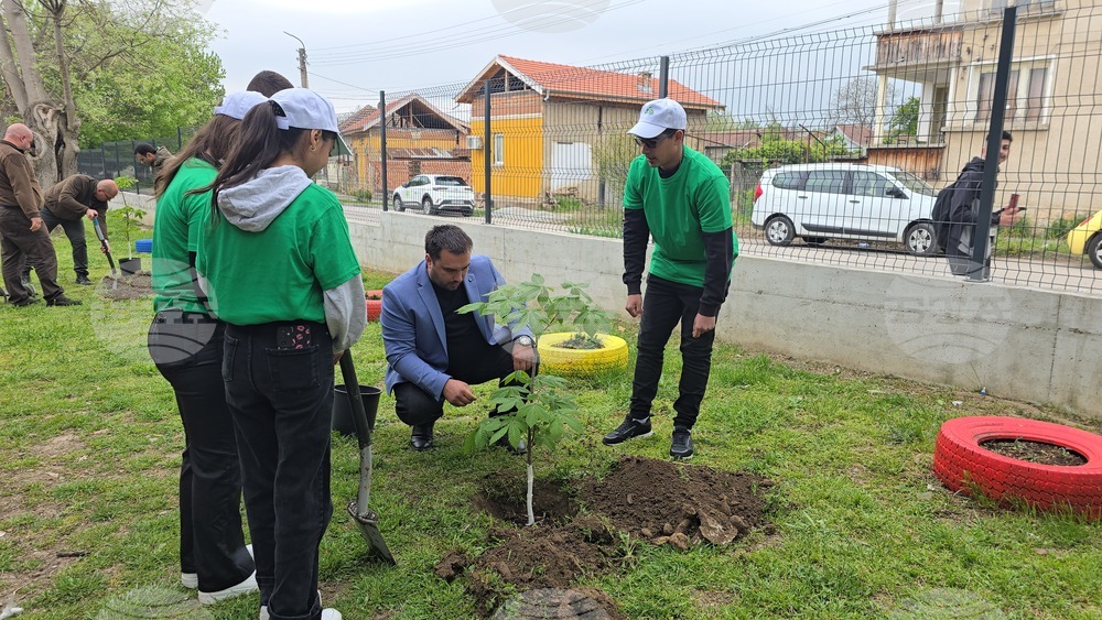 Летница - СУ „Бачо Киро“ - залесяване